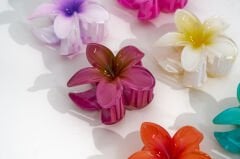 SADE LOTUS MANDAL KVS-1001