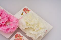 KUTULU ÇOCUK LASTİK TOKA KVS-252