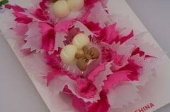 KUTULU ÇOCUK LASTİK TOKA L-64