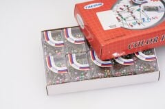 RENKLİ BÜYÜK TOPLU İĞNE 20'Lİ