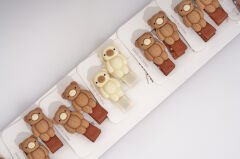 10-PIECE BUCKLE