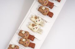 10-PIECE BUCKLE