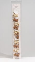 10'' BUCKLE